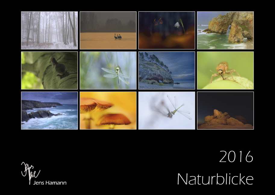 2016_Kalender_Jens_Hamann_co11