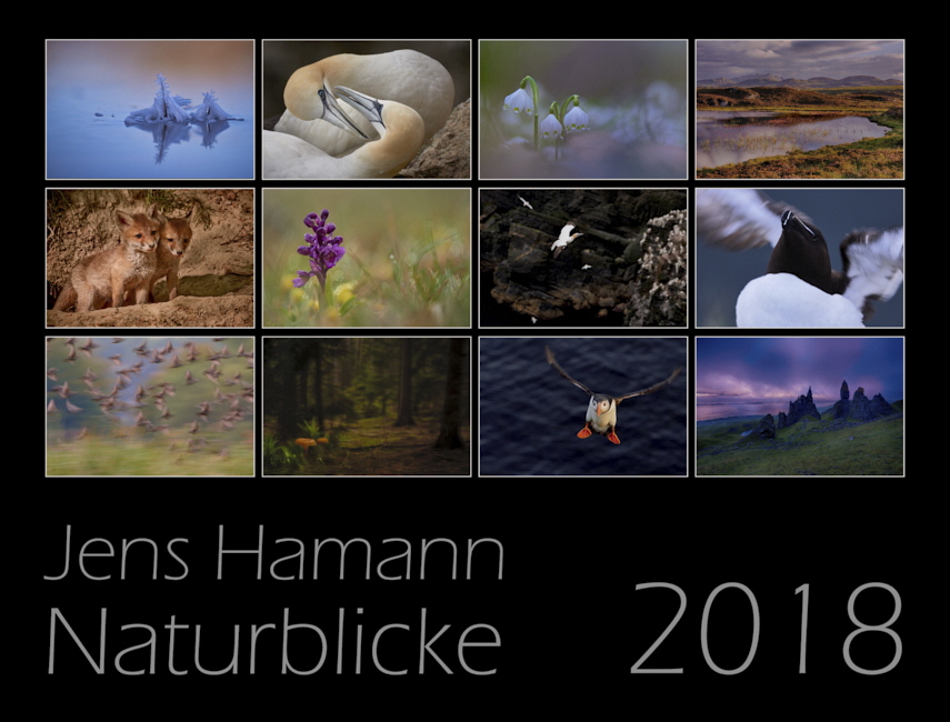 2018_Jens_Hamann_Titel_co11