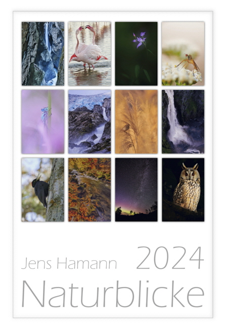 2024_Jens_Hamann_b0
