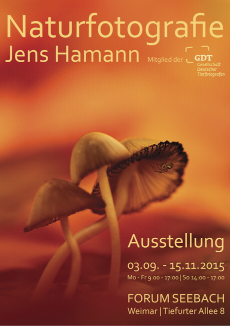 Plakat_Ausstellung_RGB-001_co11